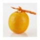 T136010 Eplucheur 6 en 1 orange