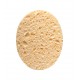 2 Eponges humid 12x9.5x1 1980