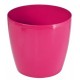 Pot Lobelia 14 cm Passion fruit DLOB1443PG001