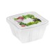 3 container carre 0.25 l decore,54998