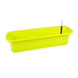 Set Surfinia 40 cm avec ACS 2 Lime Z219194PG001