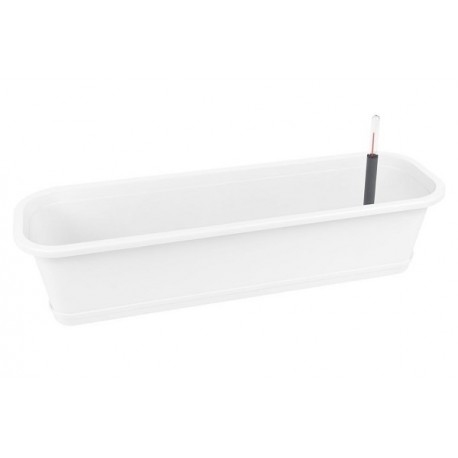 Set Surfinia 60 cm avec ACS 2 Blanc Z227915PG001