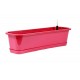 Set Surfinia 60 cm avec ACS 2 Passion fruit Z227908PG001