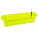 Set Surfinia 60 cm avec ACS 2 Lime Z227922PG001
