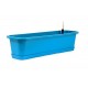 Set Surfinia 60 cm avec ACS 2 Turquoise Z227892PG001