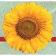 Set de table Sunflower