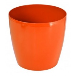 Pot Lobelia 14 cm Orange DLOB1405PG001