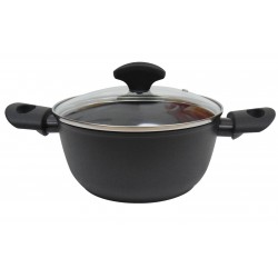 VINCI Faitout 24 cm + couvercle pyrex