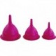 16590SIV SET 3 ENTONNOIR RIOJA Ø 11/13/16 CM (Bleu/Rose/Vrert)